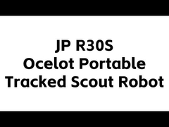 Ocelot โรบอตลูกเสือสับสนธิที่ติดรอยล้อ